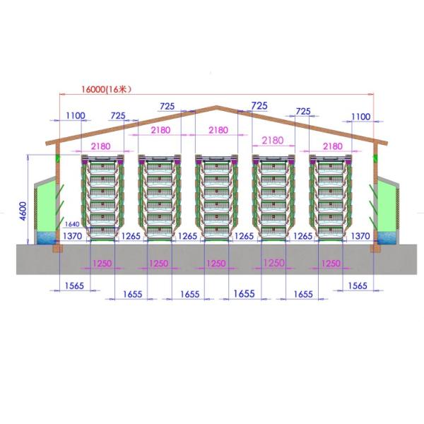 Egg Layer Battery Chicken Cage For 30000 Layers Fully Automatic Poultry Cage System