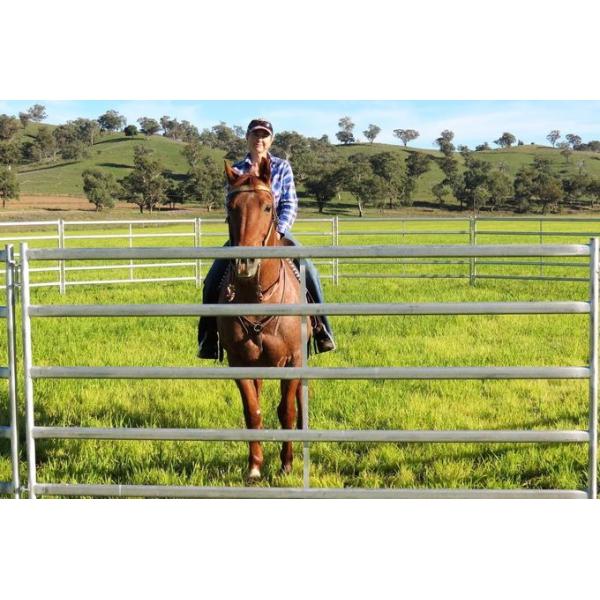 Horse Fence Panels