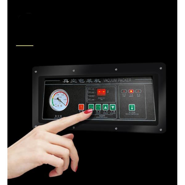 Electric Driven DZ-400 2SB Semi Automatic Fish Meat Vegetable Vacuum Packing Machine