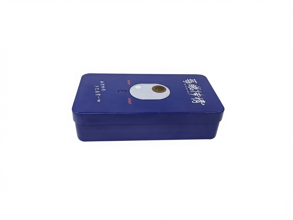 Customized Dadi Rectangular Tin Storage Box with Lid Durable Metal Canister for Cookies, Biscuits, Candies and Snacks
