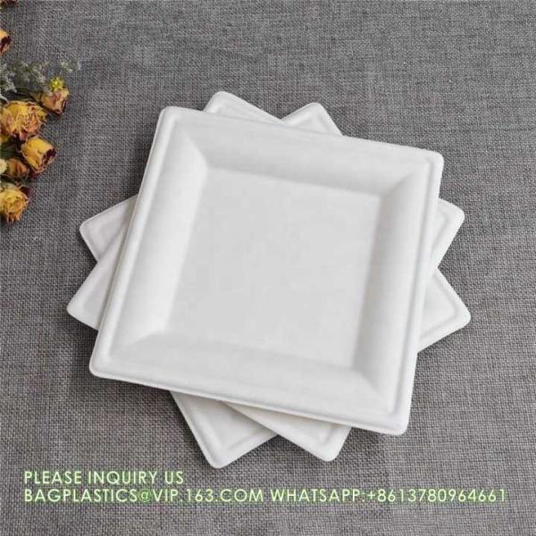 Eco-Friendly Wholesale Bio Disposable Sugarcane Food Container Snack Cookie Fruit Rectangular Plates