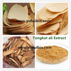 China tongkat ali powder,tongkat ali p.e.,herbal sex supplement,tongkat ali 100:1 on sale
