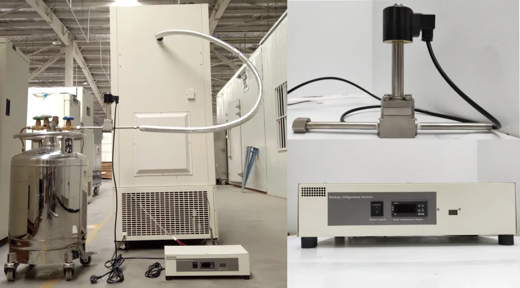 Microprocessor Control Vertical Ultra Frozen Freezer With Color Sprayed Steel