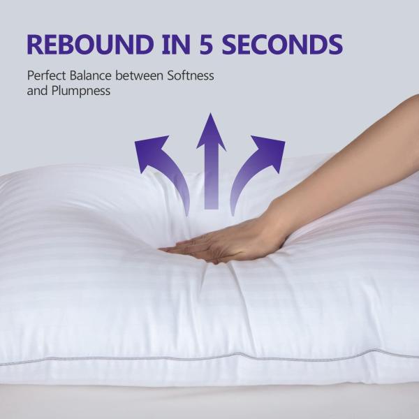 2 Pack Standard Pillows for Sleeping Soft Down Alternative 100% Polyester and Medium Support