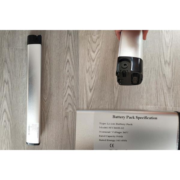 Standard Style Carbon Belt Drive EBike LCD Display Electric Bike with 9.6 AH Capacity