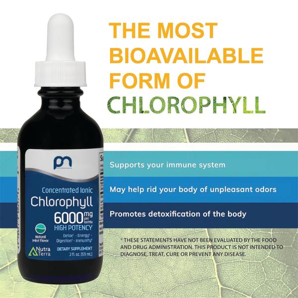 Close-up of Chlorophyll Supplement liquid drops