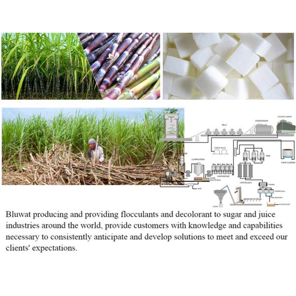 Phosphatation Process Flotation Flocculant Anionic Polyacrylamide Blufloc AS5615