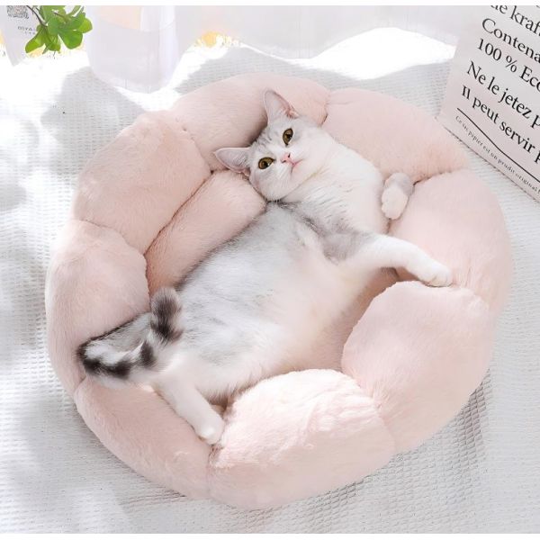 Fluffy Wool Cat Bed Comfortable Soft Cozy Pet Furniture with Removable and Washable Design Perfect