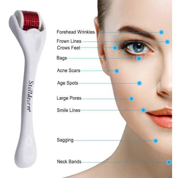 Micro Needle Derma Roller Micro Needling Roller Mesotherapy Needling Roller