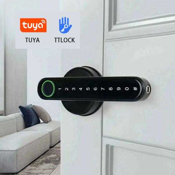 TT Lock APP Fingerprint Lock Bluetooth Smart Lock Digital Electronic Lock Keyless Door Lock Handle Zinc Black Handle