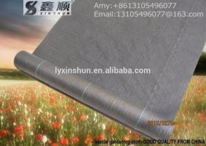 Quality Best plastic ground cover for agricultural mulch film /needle gardening cloth for sale