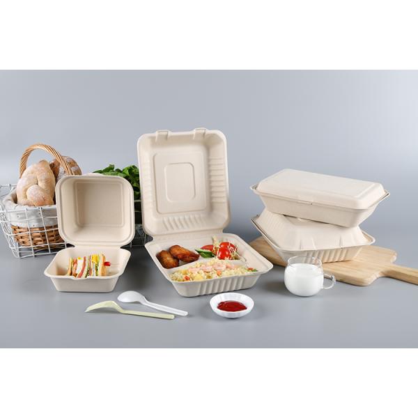 9 x 9" Sugarcane pulp biodegradable hinged large container