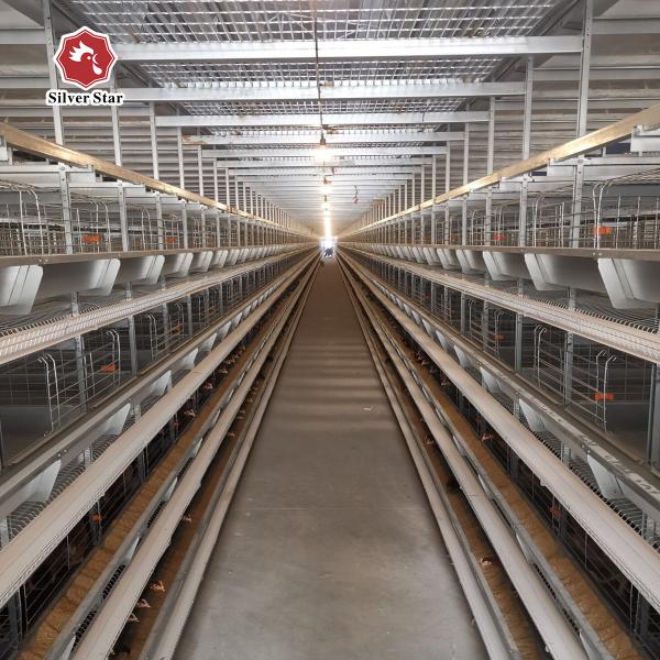 H Type Poultry Equipment Automatic Battery Cage System 9 Layers / Cell