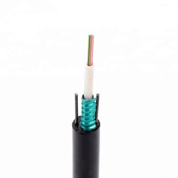PE Material Fiber Optic Patch Cord G652D Singlemode 12 Core Unitube Light Armored