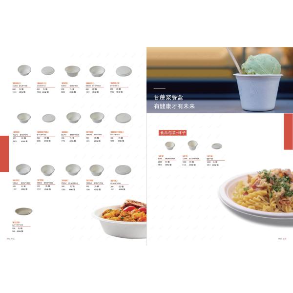 Disposable Degradable Sugarcane Pulp Tableware Food Packaging Box