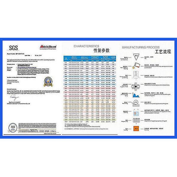 Customized Permanent NdFeB Arc Segment Neodymium Magnet For Sensor