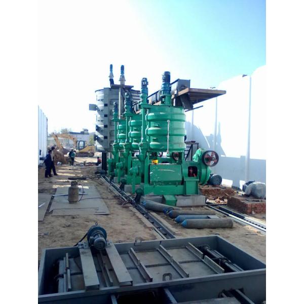 Large automatic Peanut Oil Press Machine