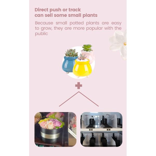 Refrigerator Combo Fresh Flower Vending Machine With Locker For Self Service Flower Store