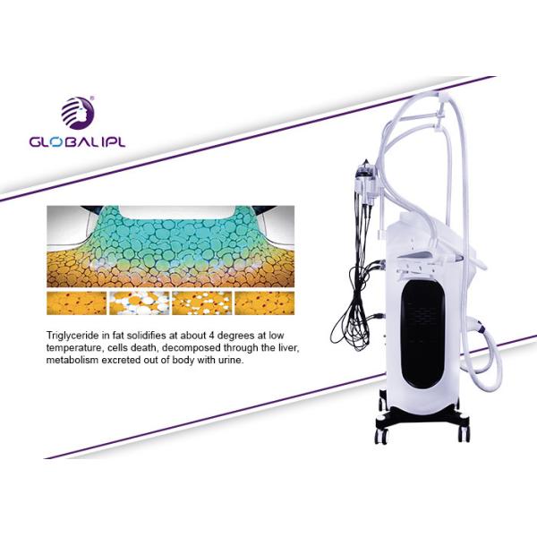 5 In 1 Cryolipolysis Machine , Body Slimming Machine Touch Screen