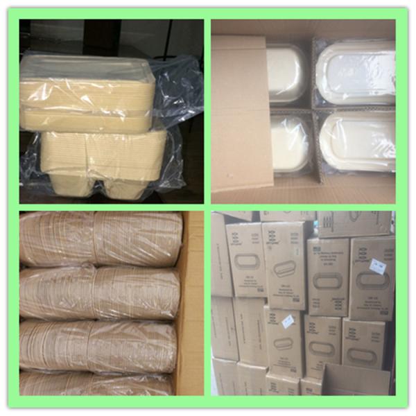 22.4x16x4.5cm Biodegradable Bamboo Pulp Packaging 850ml Microwaveable