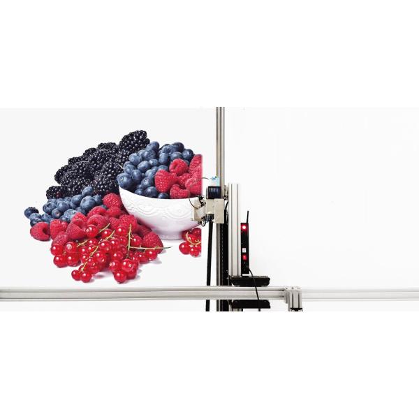 CE ROHS Certificate Chinese Wallpen Wall Printing Automatic Machine