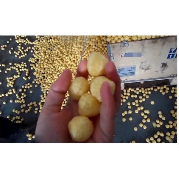 Double Screw Snack Food Extruder Machine Stick Type Puffed Corn Snack Making