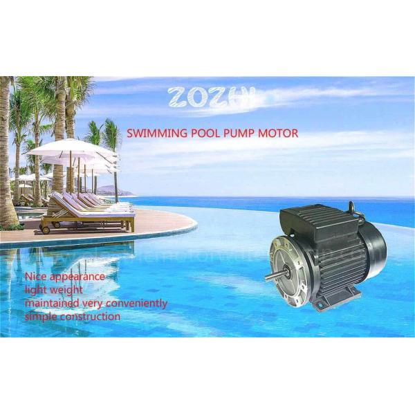 swimming pool pump motor