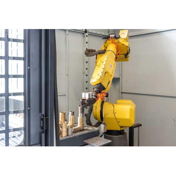 Fully Automatic Grinding Buffing Machine