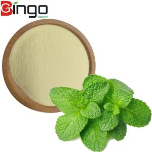 China Natural Food Grade Vanilla Flavor Powder For Bakery, Candy And Icecream on sale