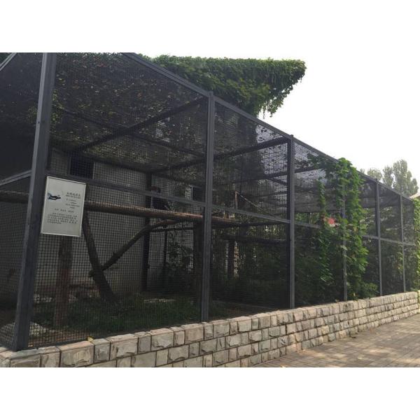 Welded Wire Mesh For Zoo Wire Mesh Fence