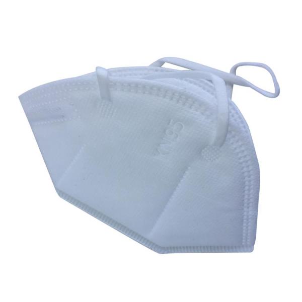 SGS Earloop 5 Ply KN95 Dust Particulate Face Mask