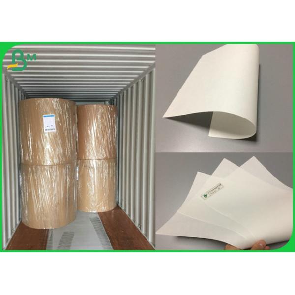 Fully Bio Compostable 70gsm Bleach Paper Roll For Takeaway packaging bags
