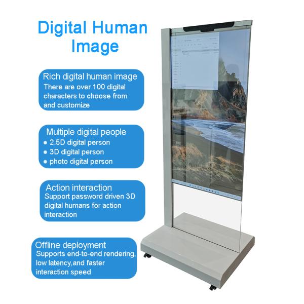 55 inch AI Digital OLED Transparent Display Kiosk