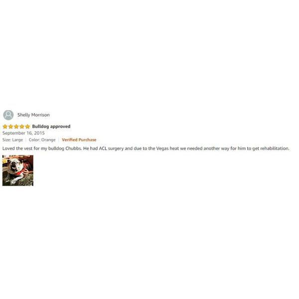Safe & Durable Dog Float Coat Life Jacket with One Rescue Handle
