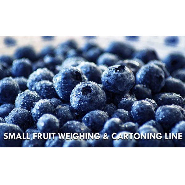 Automatic Cherries, cherry tomatoes, blueberries Fruit Clamshell Weighing & Packaging Line