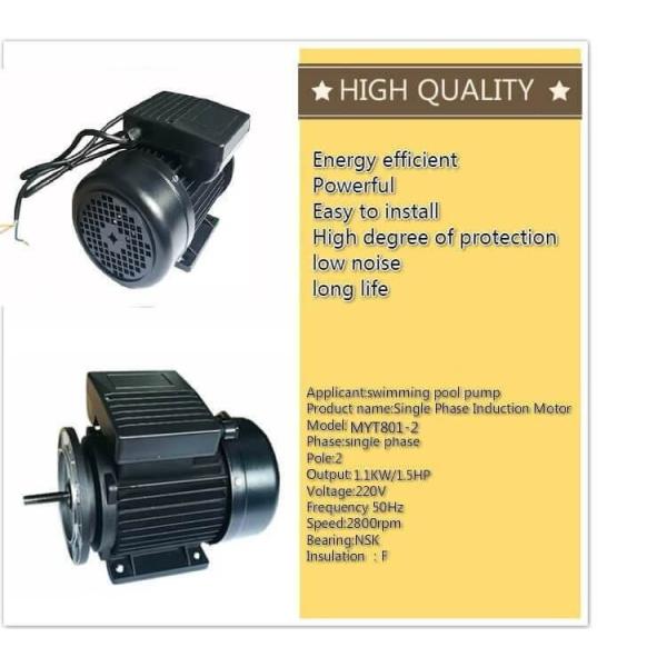 swimming pool pump motor