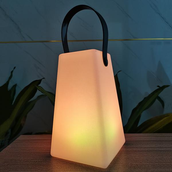 LED Plastic Color Changing Waterproof Garden Decorative Lamp With Remote Controller