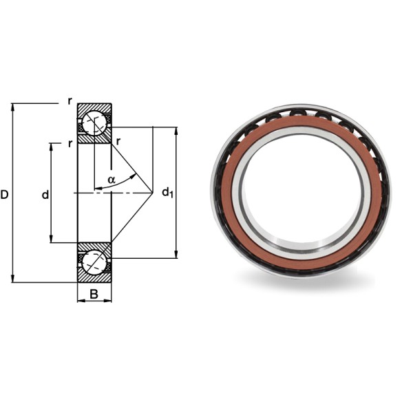 Strict Quality Inspection Thin-walled Angular Contact Ball Bearing 71805C 1036805 25*37*7mm Printing Machinery Bearing
