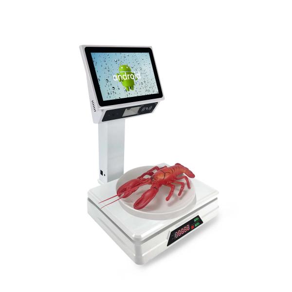 All in One Inch Both Touch Screen Scale Digital Weight Machine Weighing Scale With Built-In 58mm Receipt Printer