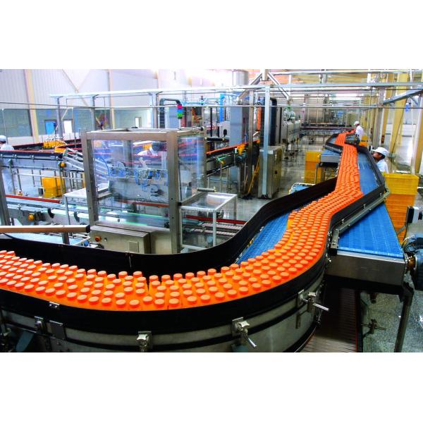 Automatic Grade Automatic Fruit Juice Processing Line with Plastic/SUS304 Belt Material