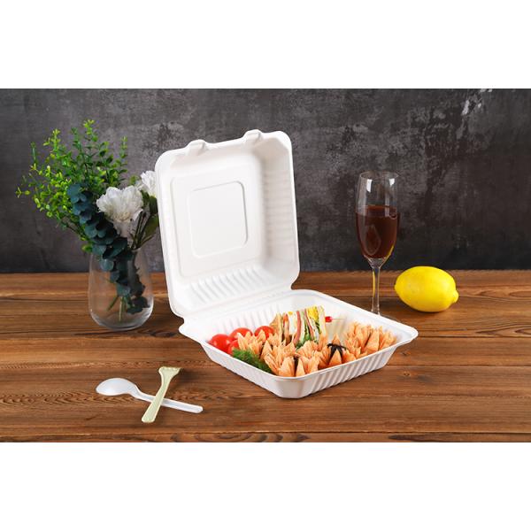 biodegradable catering sugarcane pulp molded paper food packaging