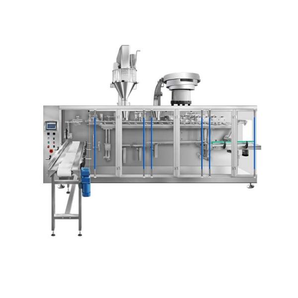 SED-280GD-B Automatic Horizontal Flat Bottom Pouch Fill-Seal Machine