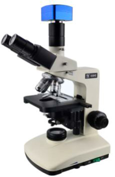 10X 20X Optical Metallurgical Microscope Trinocular For Bright Field Use
