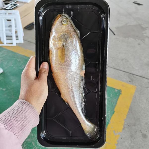 Industrial Meat Packaging Thermoforming Vacuum Packing Machine