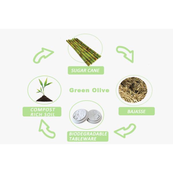 Microwavable Compostable Bagasse Cup Lids Plastic Free