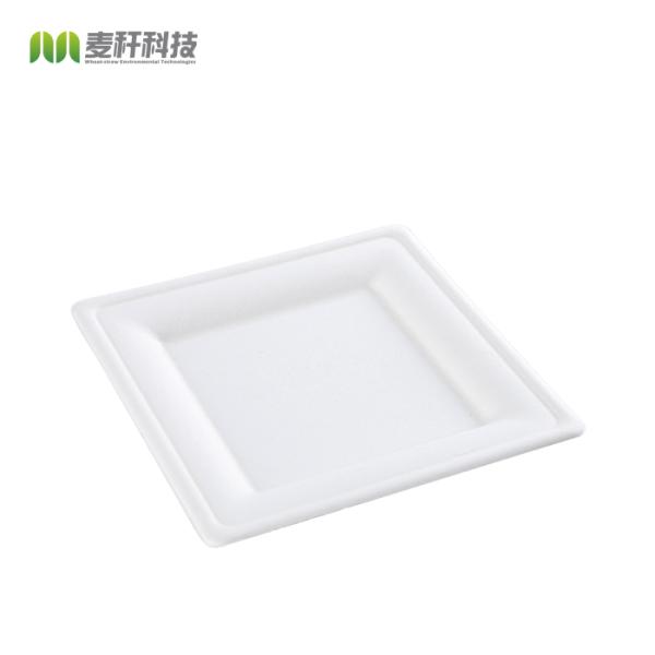 8" Compostable bagasse square dinner dessert Plates