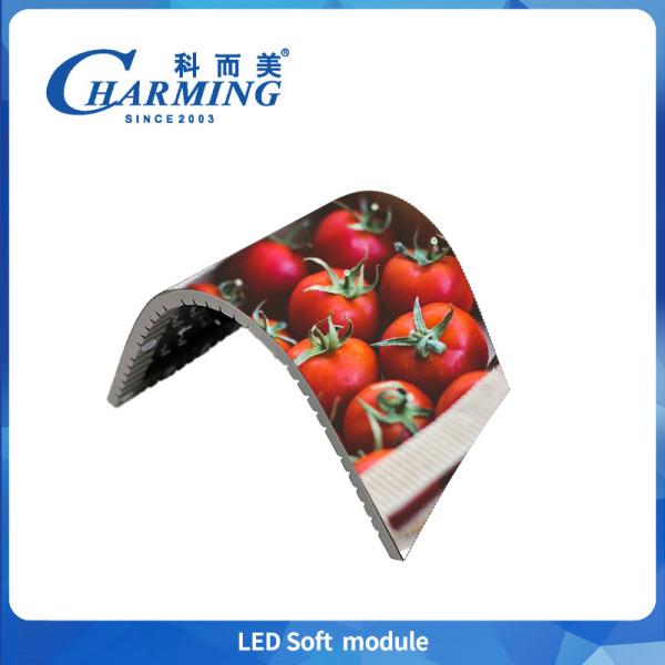 Indoor LED Display Modules Featuring Adjustable Magnet Height for Improved Screen Flatness and Enhanced Visual Performance