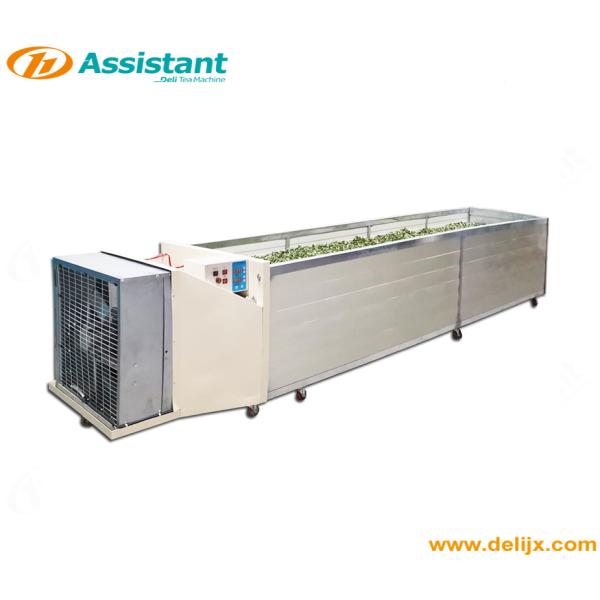 DL-6CRT-50 Tea Processing Machine Tea Roller Device Tea Rolling Machine 1020*110*1300