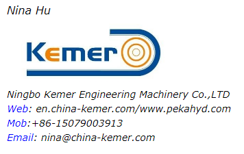 Construction Works High Precision Geared AC Motor with Customizable Planetary Gear Reducer