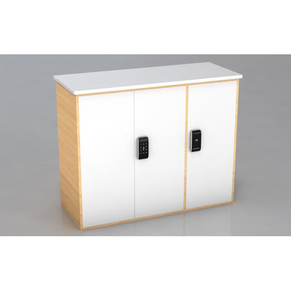 Electronic Touch Screen Keypad Battery Or Security Smart Lock For Cabinet